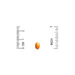 8456d6e5fa52691c2d9636c22c8cdb59_041522205632.jpeg California Gold Nutrition, коэнзим Q10, 100 мг, 120 растительных капсул